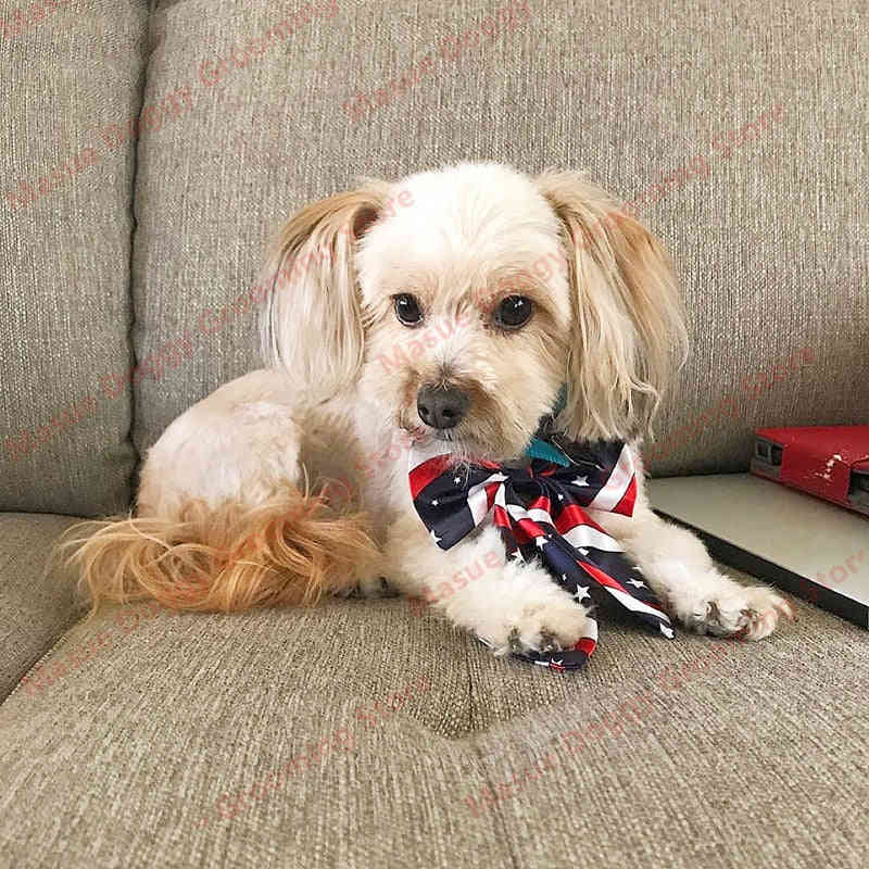 Stylish Dog Bowties - 100pcs Assorted Colors Pet Accessories for Weddings & Events