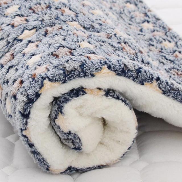 Cozy Pet Fleece Mat for Small Dogs and Cats - Soft & Warm Paw Print Design