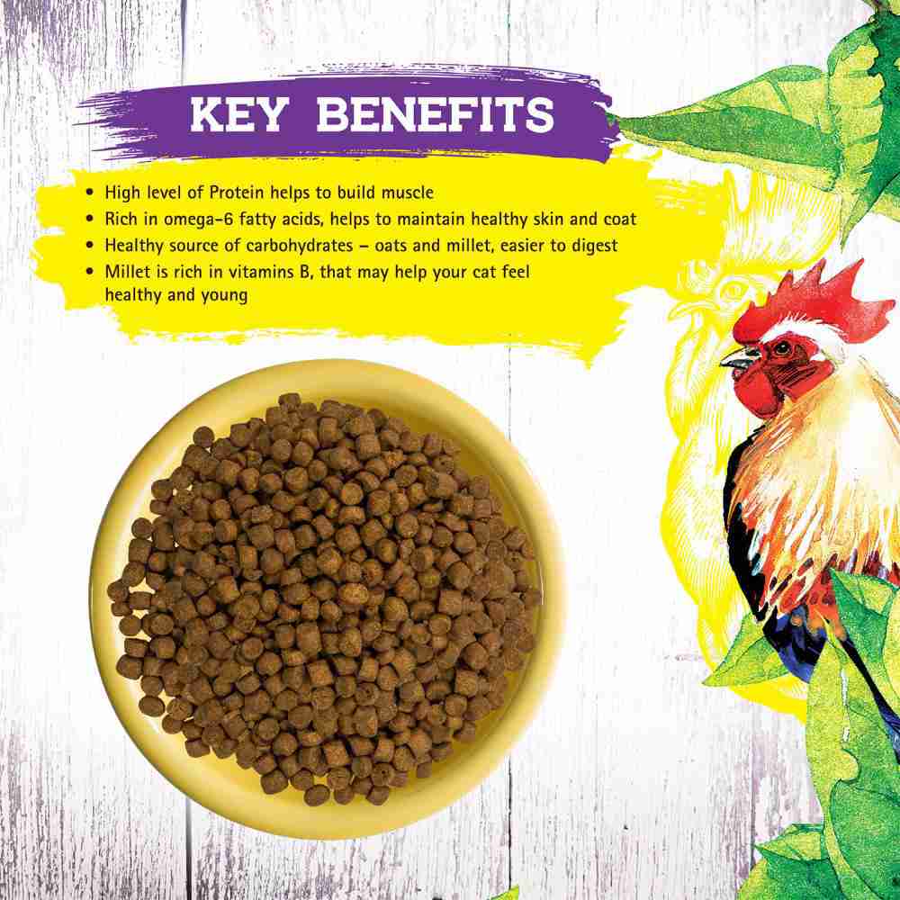 Inception Chicken Recipe Dry Cat Food - Premium Nutrition for All Life Stages