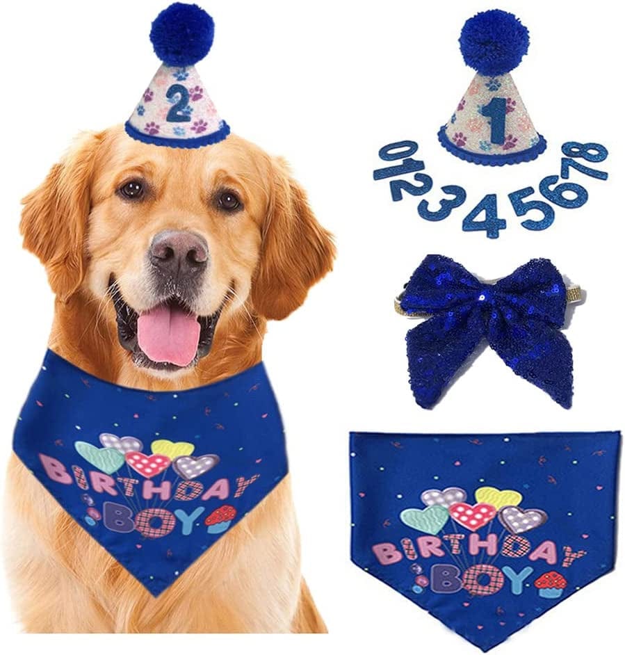 Elegant Dog Birthday Party Set with Hat, Bandana, and Bowtie