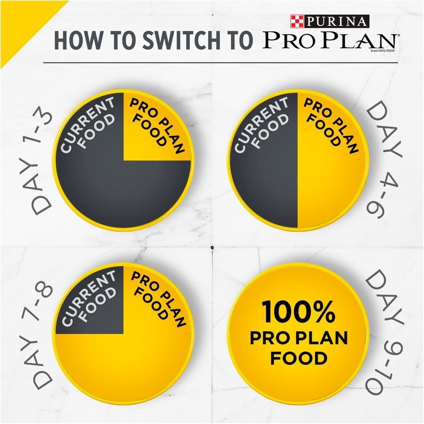 Purina Pro Plan Bright Mind Adult 7+ Dry Dog Food - Chicken & Rice Formula for Senior Dogs