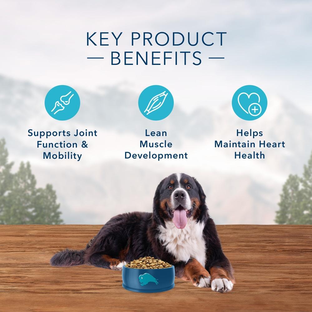 Blue Buffalo Wilderness Grain-Free High Protein Salmon Recipe for Large Breed Dogs