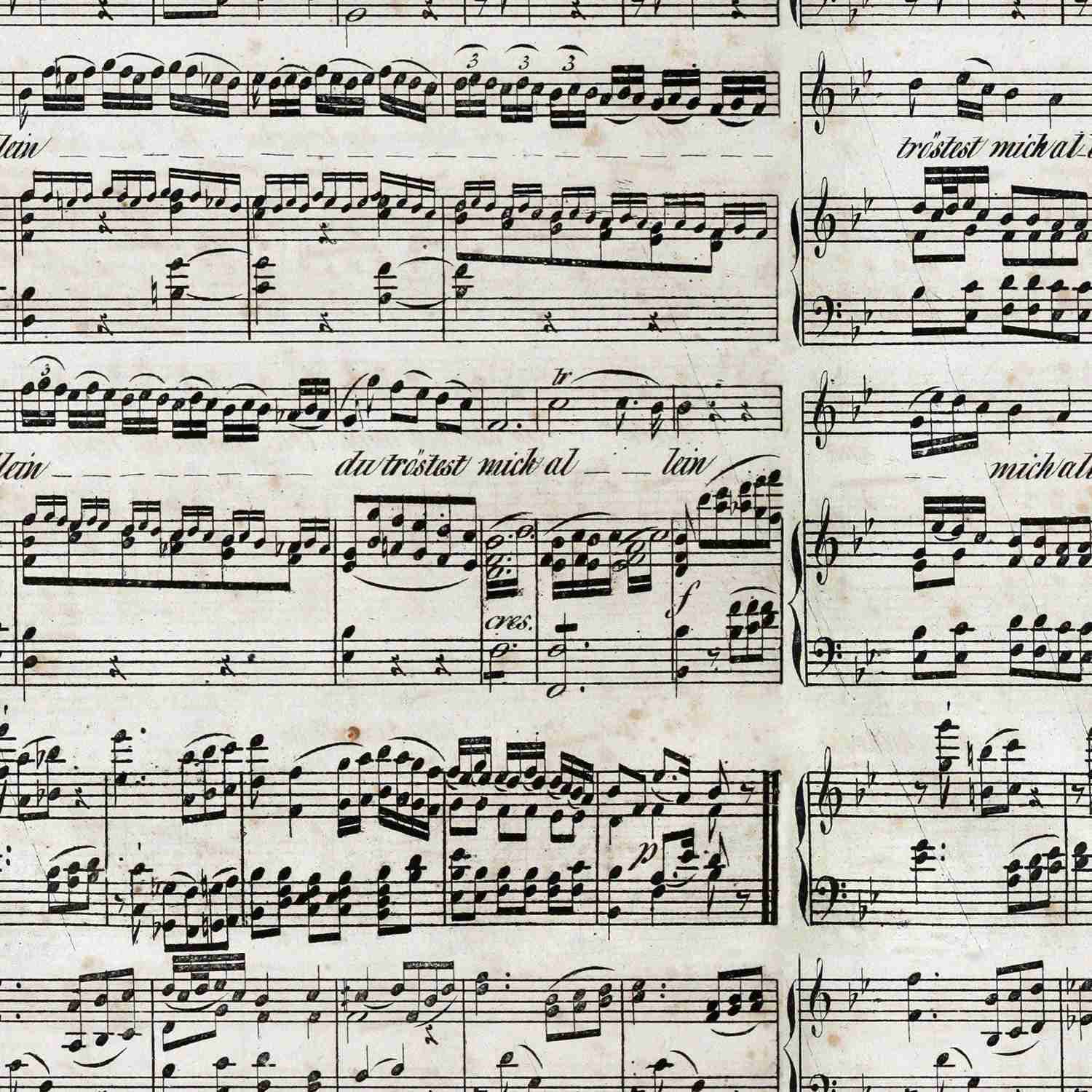 Mozart Music Notes Wall Mural - A Symphony for Your Walls