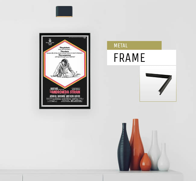 Andromeda Strain - 11 x 17 Movie Poster Reprint, 1971