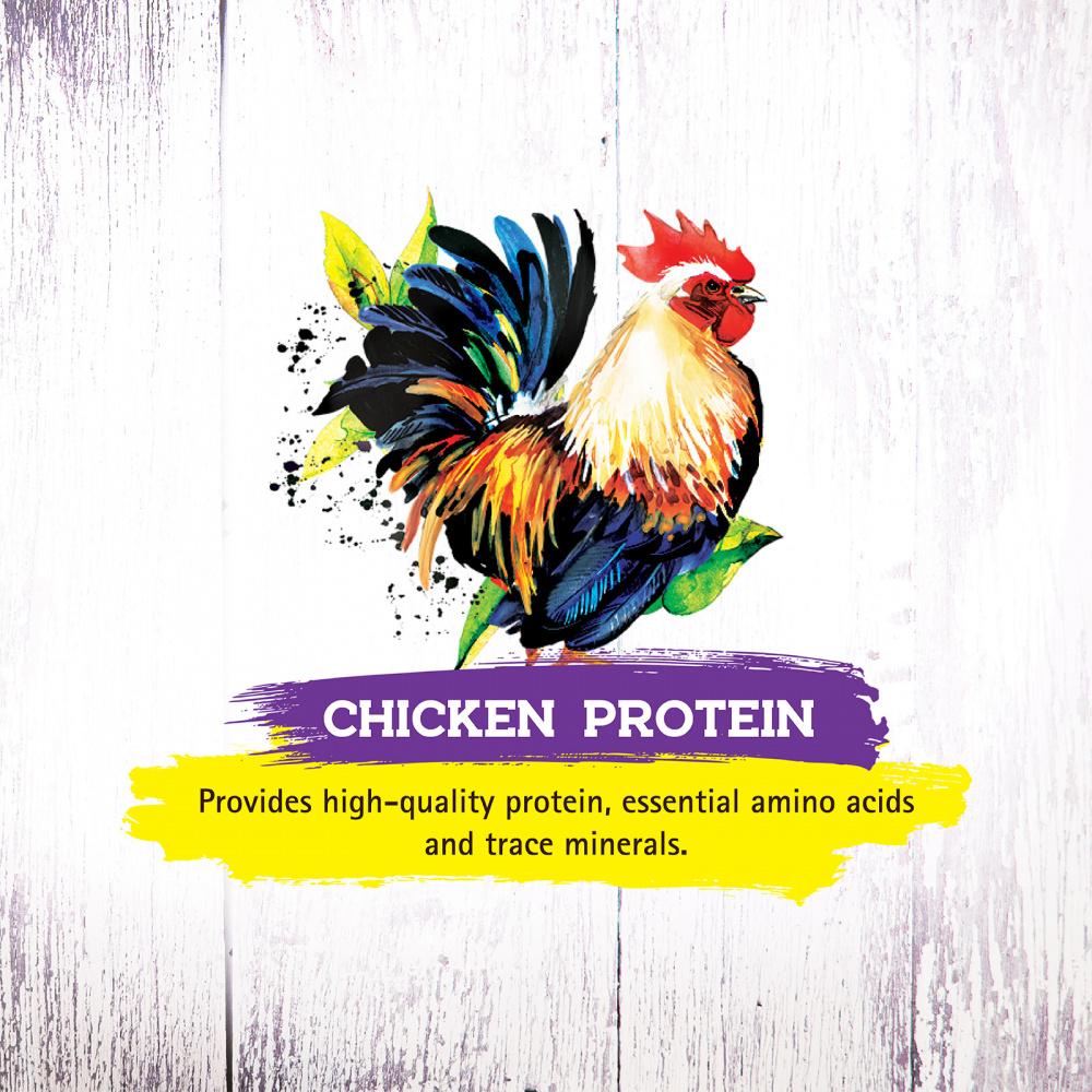 Inception Chicken Recipe Dry Cat Food - Premium Nutrition for All Life Stages