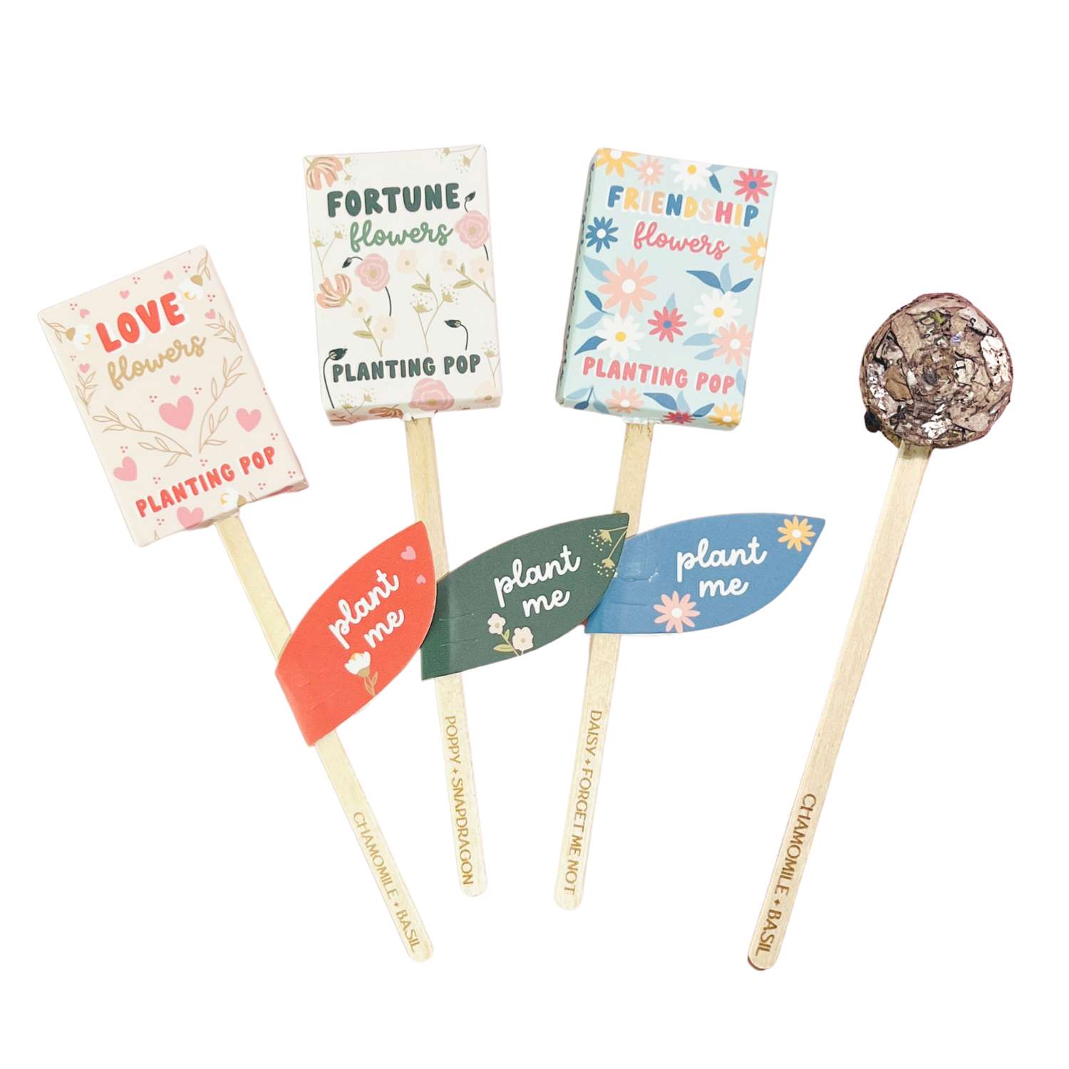 Magical Fortune Flower Seed Planting Pops