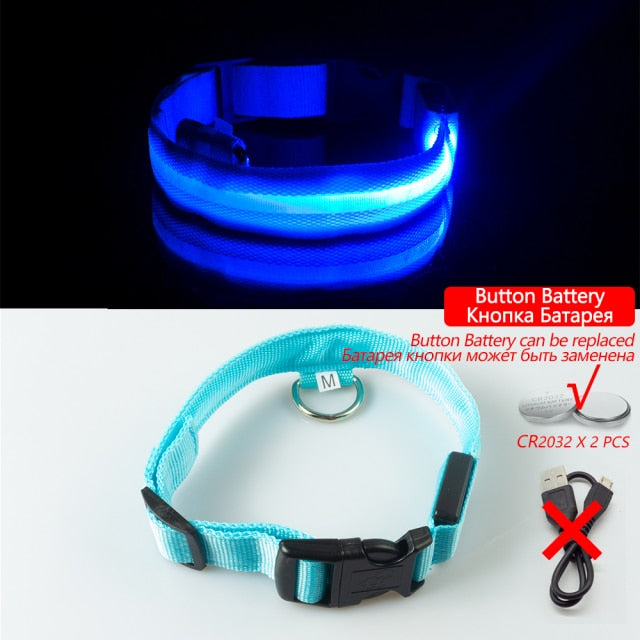 USB Rechargeable LED Dog Collar for Safety & Visibility - Small, Medium, Large Dogs