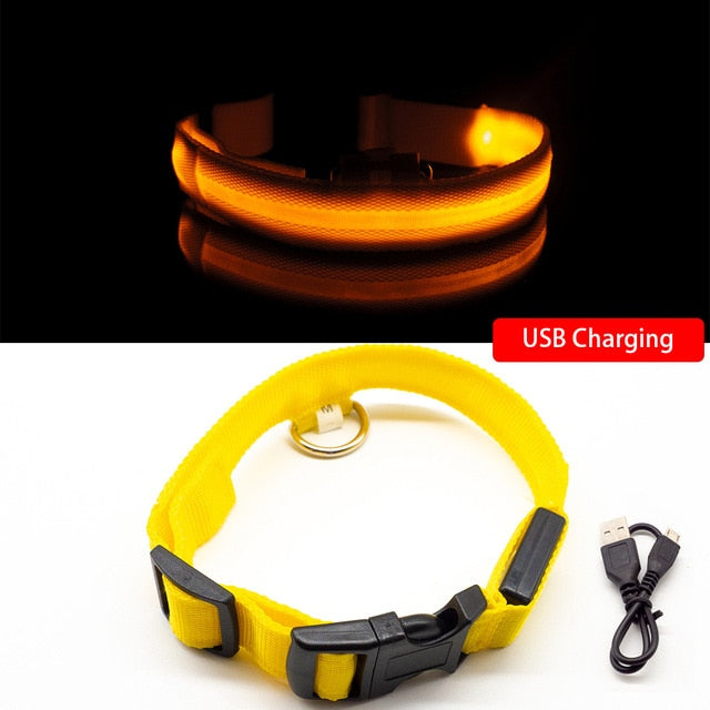 USB Rechargeable LED Dog Collar for Safety & Visibility - Small, Medium, Large Dogs