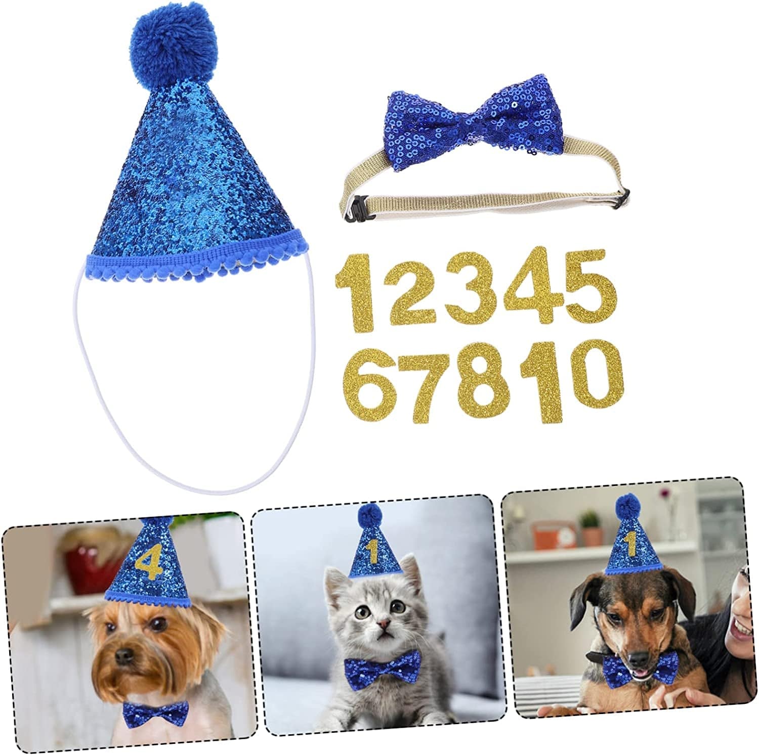 Adorable Pet Birthday Hat & Bowtie Set for Celebrations