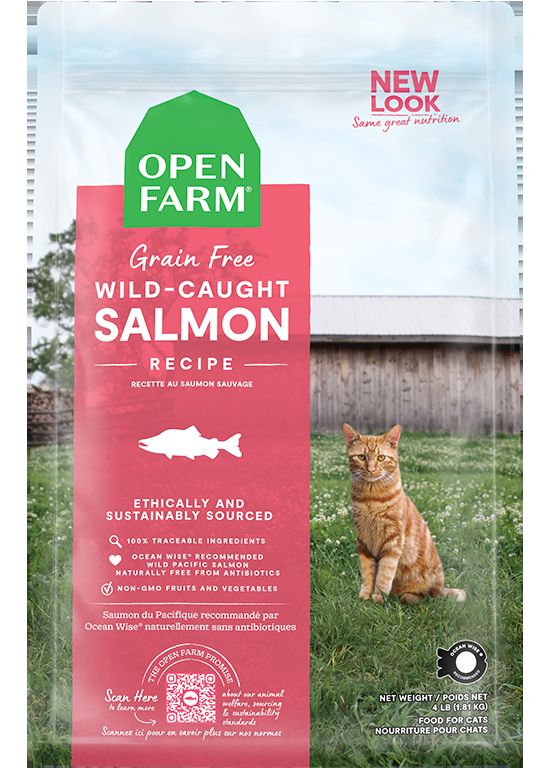 Premium Wild-Caught Salmon Dry Cat Food - Nutritious & Delicious
