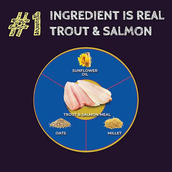 Zignature Select Cuts Trout & Salmon Dog Food - Premium Protein Blend