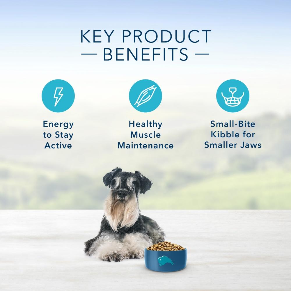 Blue Buffalo Senior Small Breed Chicken & Brown Rice Dry Dog Food