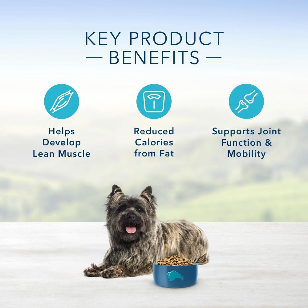 Blue Buffalo Small Breed Healthy Weight Dry Dog Food - Premium Nutrition for Small Dogs