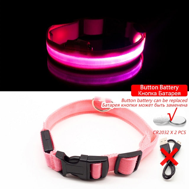 USB Rechargeable LED Dog Collar for Safety & Visibility - Small, Medium, Large Dogs