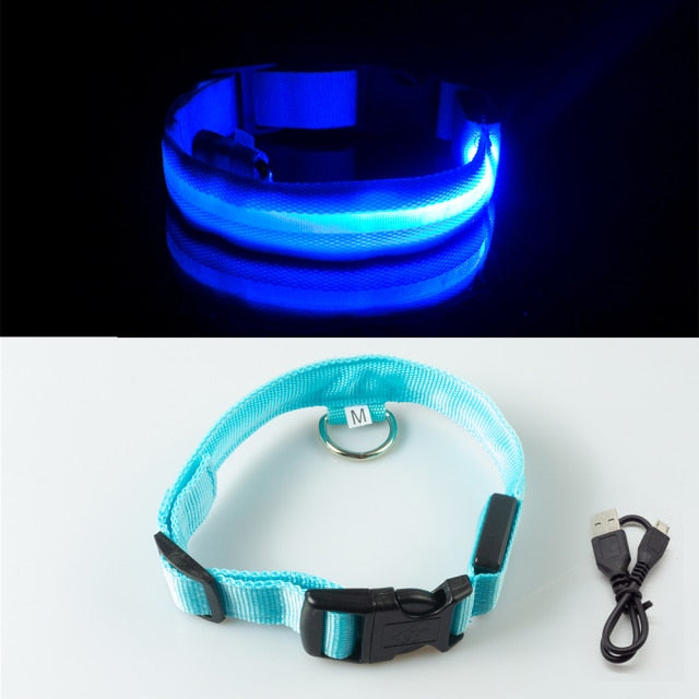 USB Rechargeable LED Dog Collar for Safety & Visibility - Small, Medium, Large Dogs