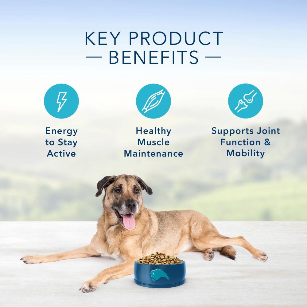 Blue Buffalo Senior Dog Food - Natural Chicken & Brown Rice Recipe for Mature Canines