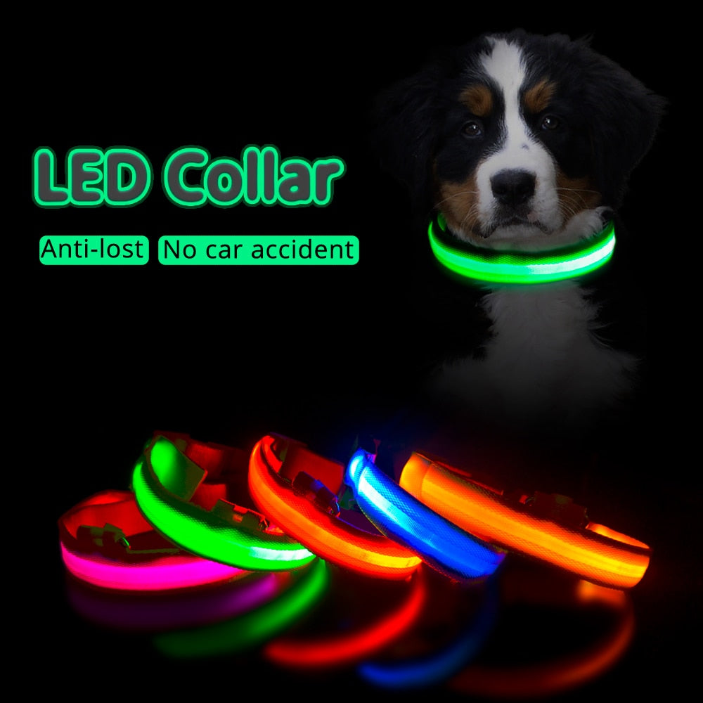 USB Rechargeable LED Dog Collar for Safety & Visibility - Small, Medium, Large Dogs