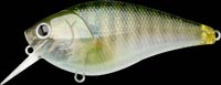 Lucky Craft Fat CB B.D.S. 4 - Premium Floating Crankbait