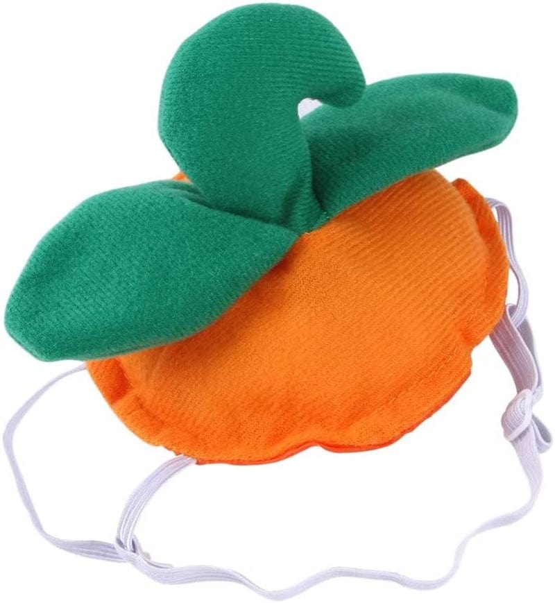 Dog Birthday Party Hat Set with Ears and Umbrella