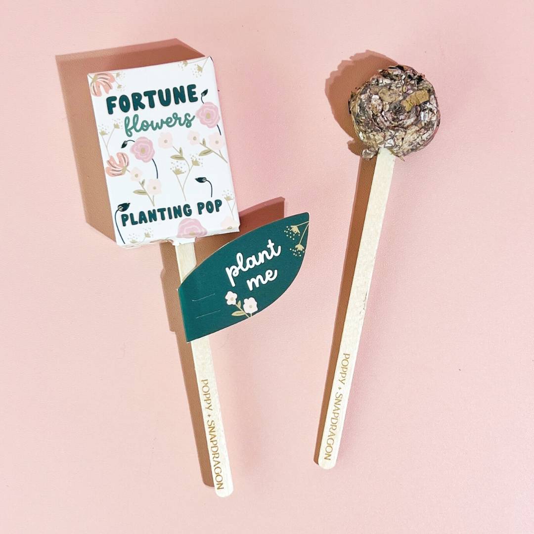 Magical Fortune Flower Seed Planting Pops