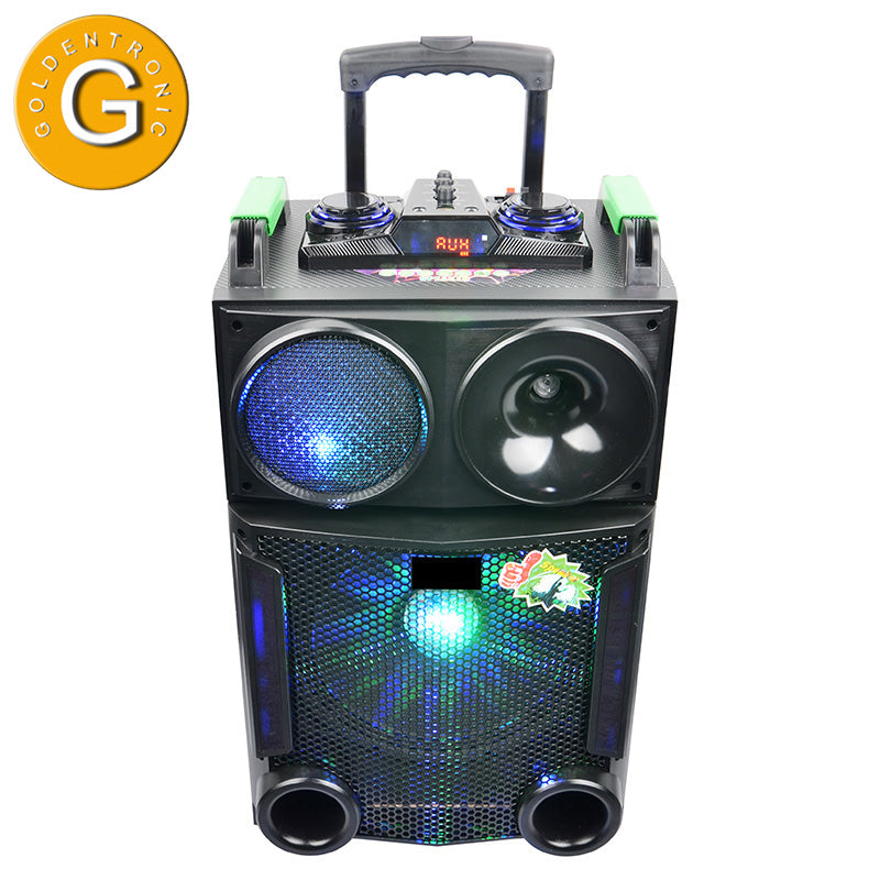 Portable 1X12 Wireless Karaoke Trolley Speaker with LED Light