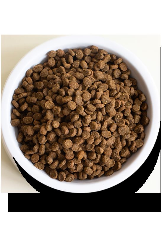 Premium Wild-Caught Salmon Dry Cat Food - Nutritious & Delicious