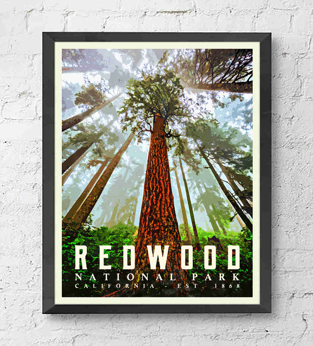 Redwood National Park Art Print - Vibrant California Landscape