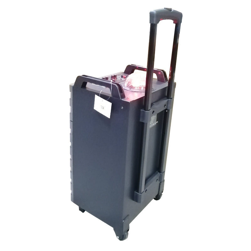 Portable 1X12 USB Wireless PA Speaker with LED Light and Microphone