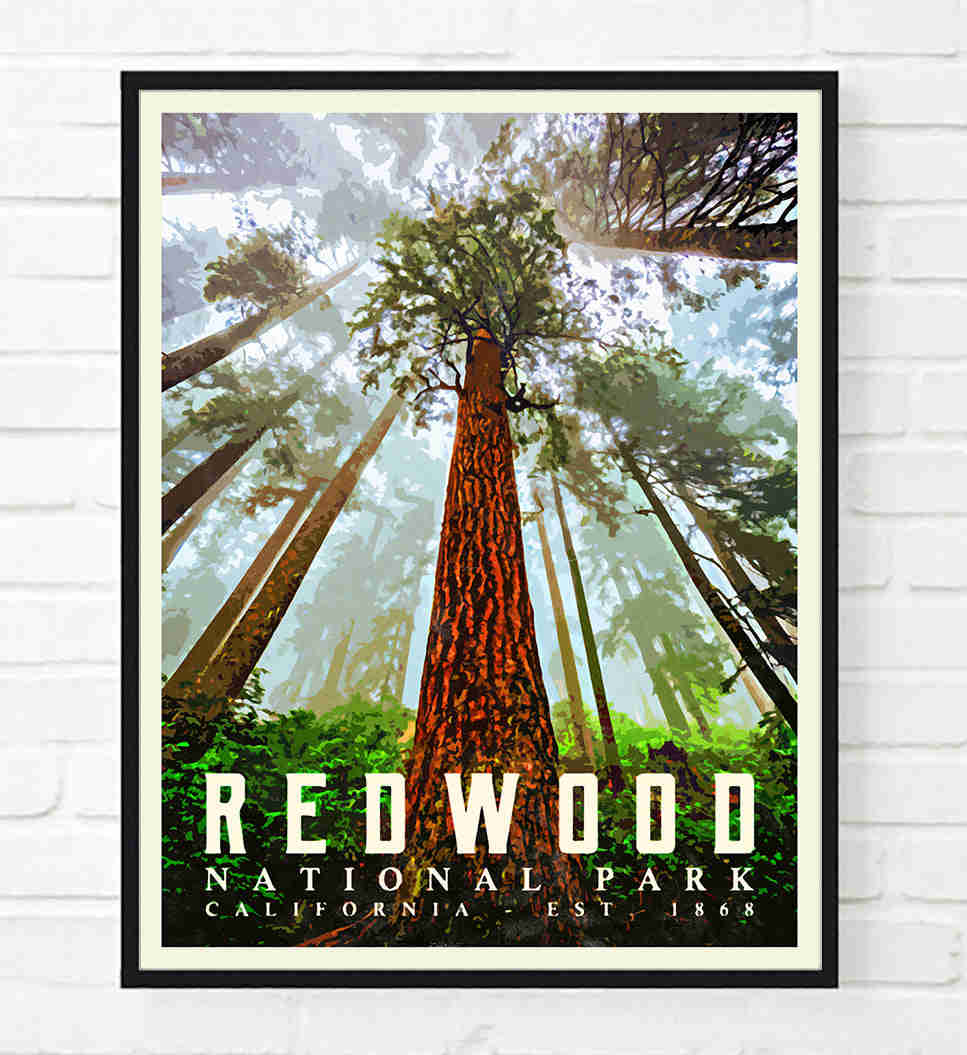 Redwood National Park Art Print - Vibrant California Landscape