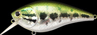 Lucky Craft Fat CB B.D.S. 4 - Premium Floating Crankbait