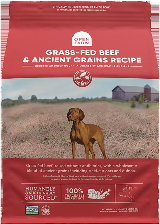 Premium Grass-Fed Beef & Ancient Grains Dog Food