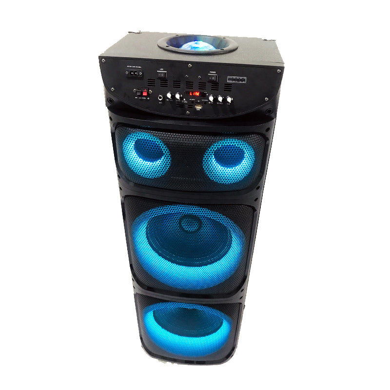 Professional 2X12" DJ Music System with Rechargeable Battery