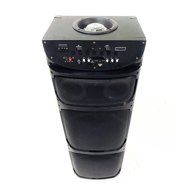 Professional 2X12" DJ Music System with Rechargeable Battery