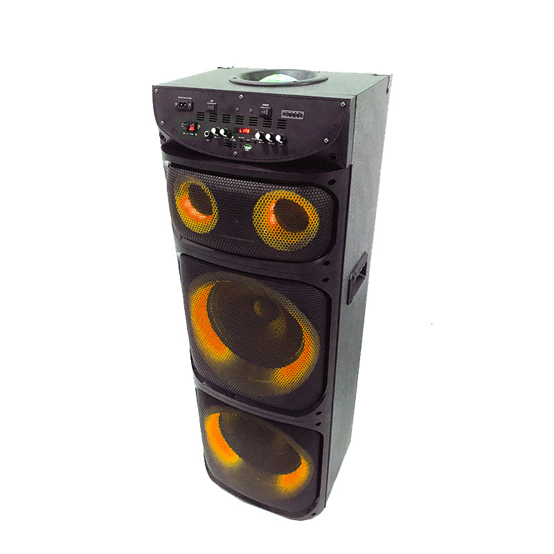 Professional 2X12" DJ Music System with Rechargeable Battery