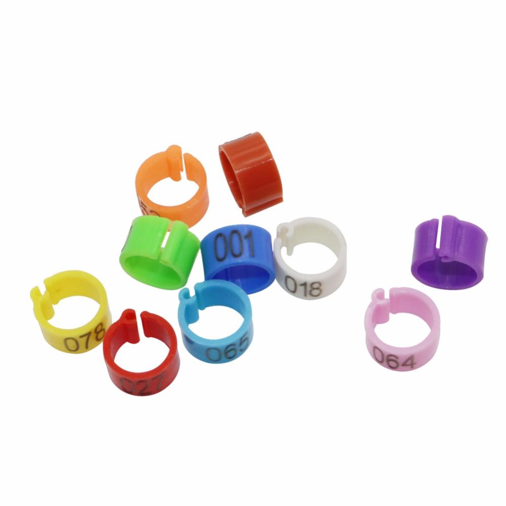 Talk-Satisfied 1000 Pcs 8mm Plastic Bird Leg Rings - Multicolored for Parrots & Pigeons