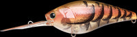 Lucky Craft FLAT CB D-12 - Precision Crankbait for Bass Fishing