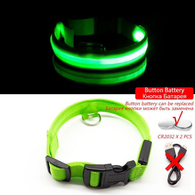 USB Rechargeable LED Dog Collar for Safety & Visibility - Small, Medium, Large Dogs