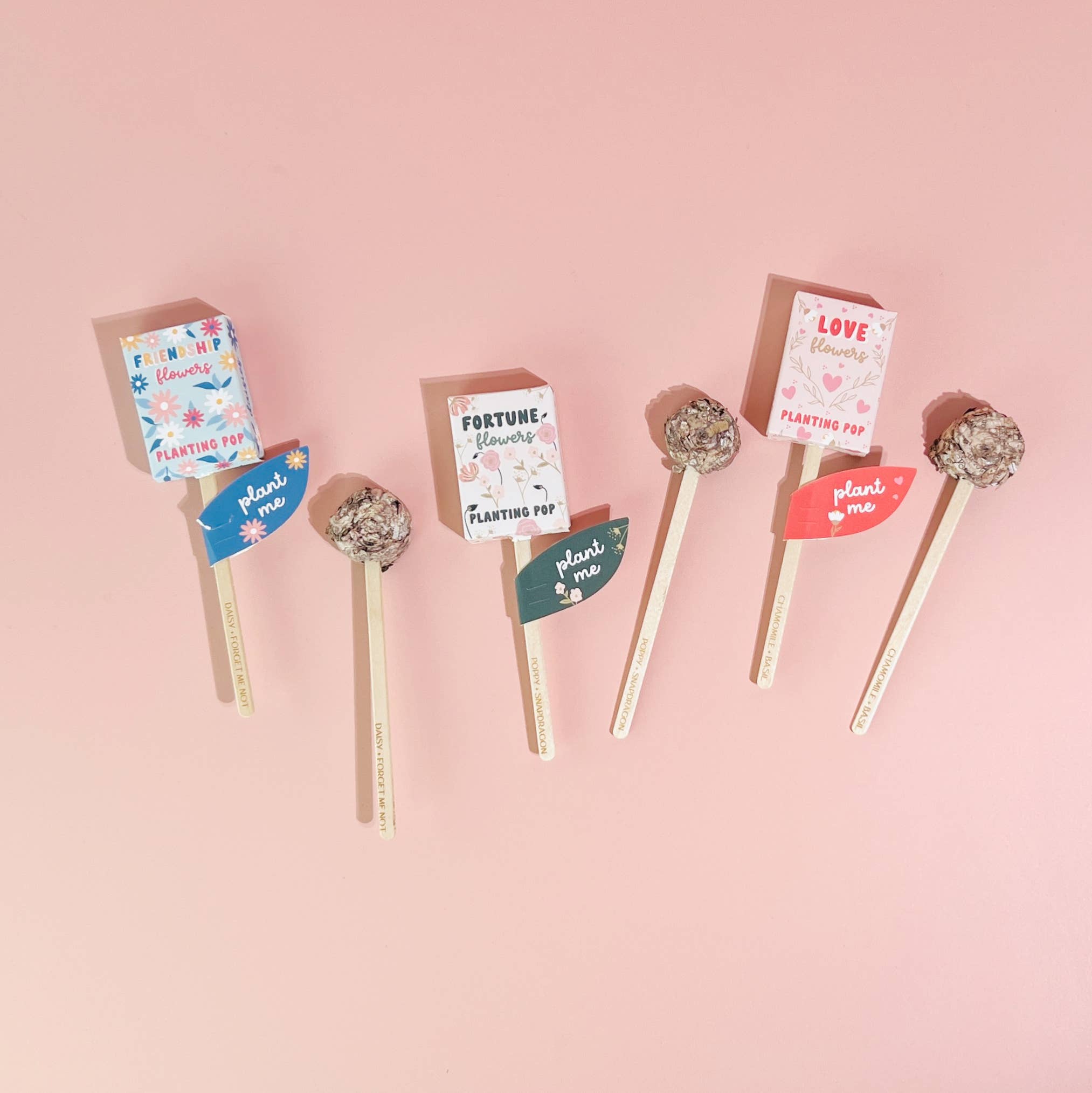 Magical Fortune Flower Seed Planting Pops