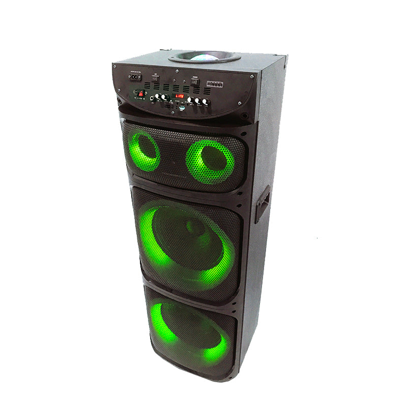 Professional 2X12" DJ Music System with Rechargeable Battery