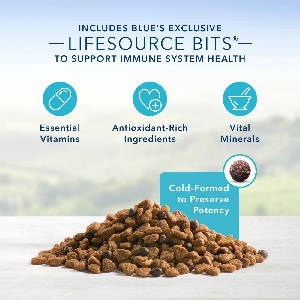 Blue Buffalo Senior Small Breed Chicken & Brown Rice Dry Dog Food