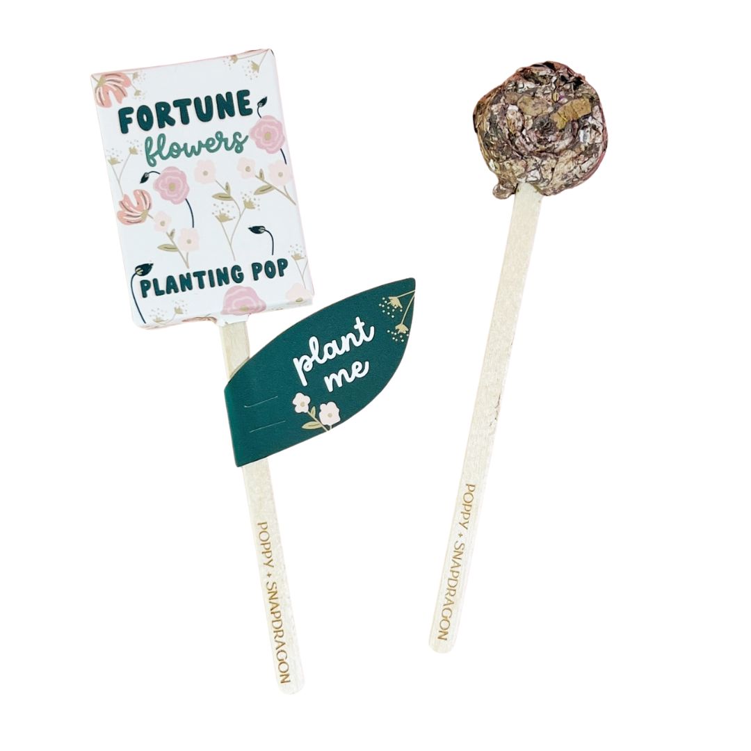 Magical Fortune Flower Seed Planting Pops