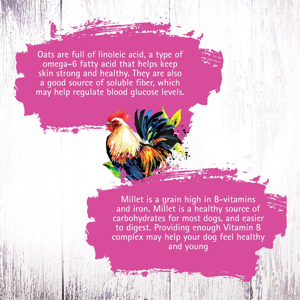 Inception Chicken Recipe Dry Cat Food - Premium Nutrition for All Life Stages