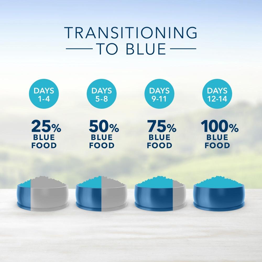 Blue Buffalo Small Breed Healthy Weight Dry Dog Food - Premium Nutrition for Small Dogs