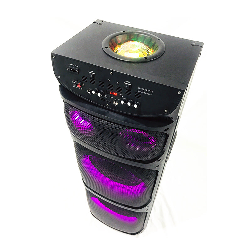 Professional 2X12" DJ Music System with Rechargeable Battery