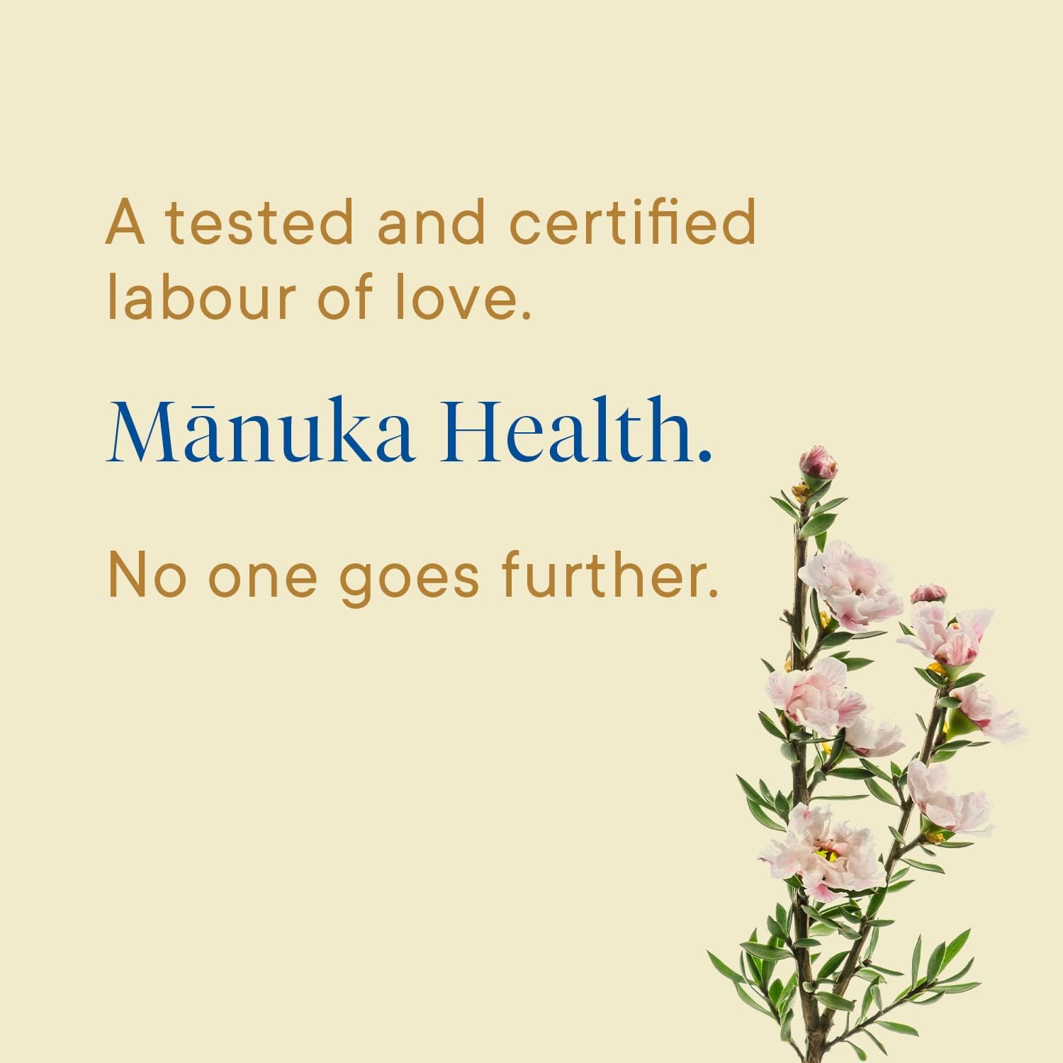 Manuka Health UMF 10+/MGO 263+ Raw Manuka Honey, 500g/17.6oz - Premium New Zealand Honey