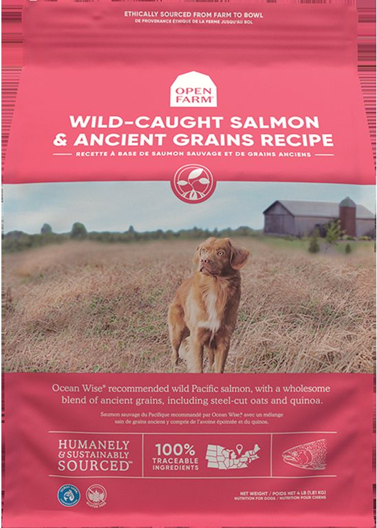 Premium Ocean-Inspired Salmon & Ancient Grains Dog Food