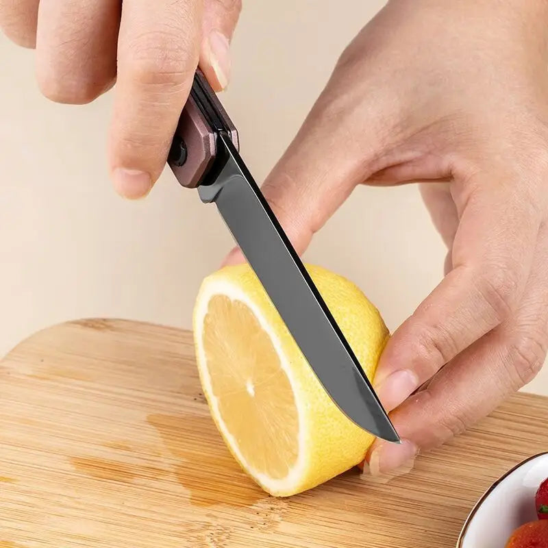 Stainless Steel Folding Knife for Outdoor, Camping, and Kitchen Use