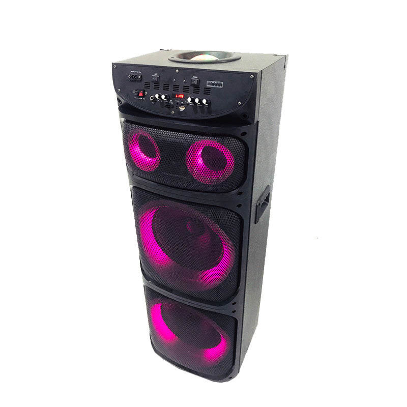 Professional 2X12" DJ Music System with Rechargeable Battery