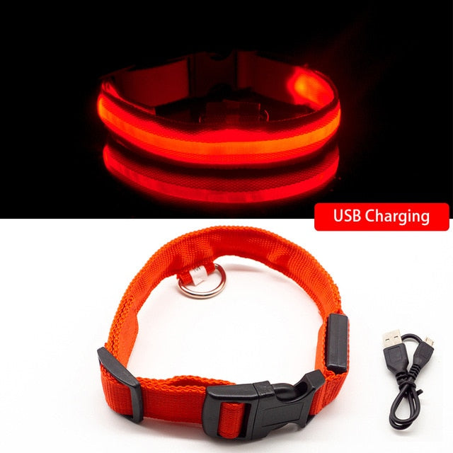 USB Rechargeable LED Dog Collar for Safety & Visibility - Small, Medium, Large Dogs