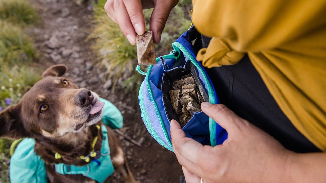 Ruffwear Home Trail Hip Pack - Versatile Outdoor Adventure Gear